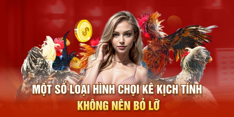 Một số loại hình chọi kê kịch tính không nên bỏ lỡ