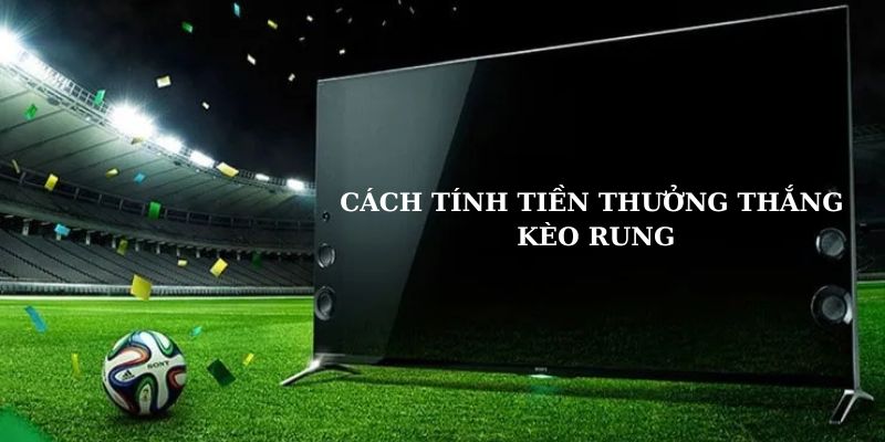 Hội viên nên biết công thức tính tiền thưởng kèo rung