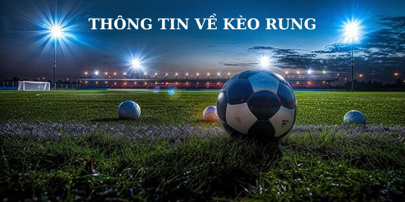 Tổng hợp các thông tin cơ bản về kèo rung dành cho cược thủ