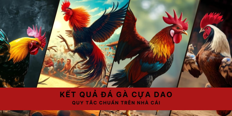 Kết quả xác nhận qua từng cửa dựa vào tuyên bố của trọng tài