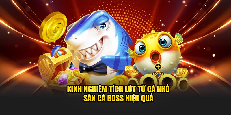 Kinh nghiệm tích lũy từ cá nhỏ săn cá boss hiệu quả