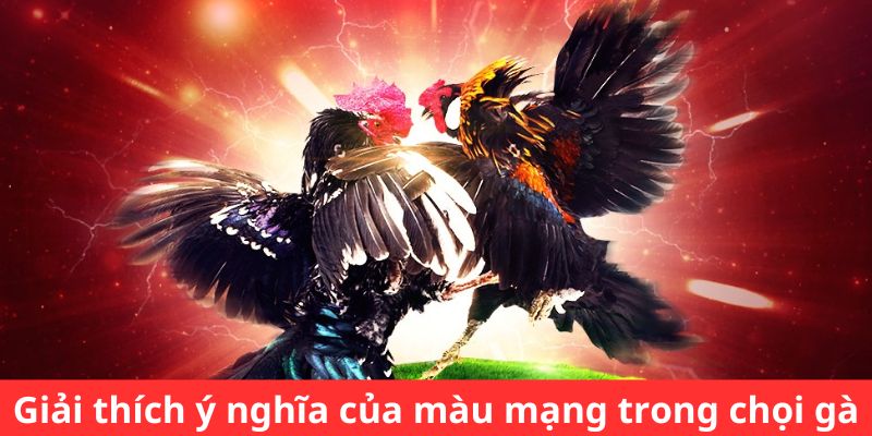 Những khái niệm cần nắm về màu mạng của từng chiến binh