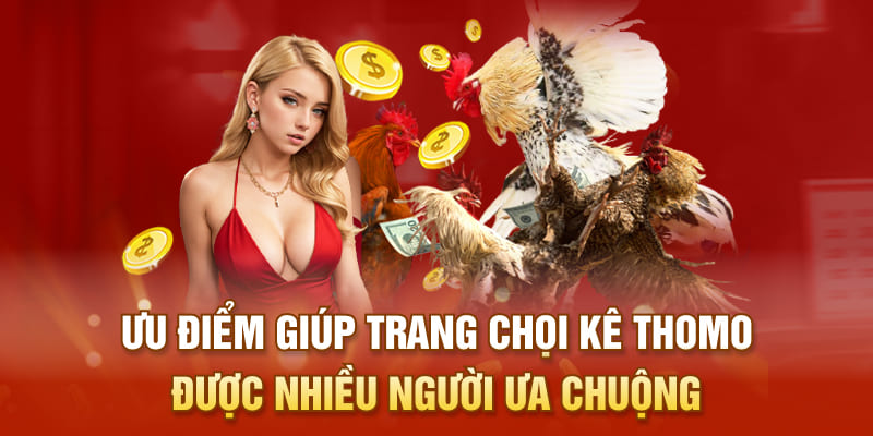 Ưu điểm giúp trang chọi kê thomo được nhiều người ưa chuộng